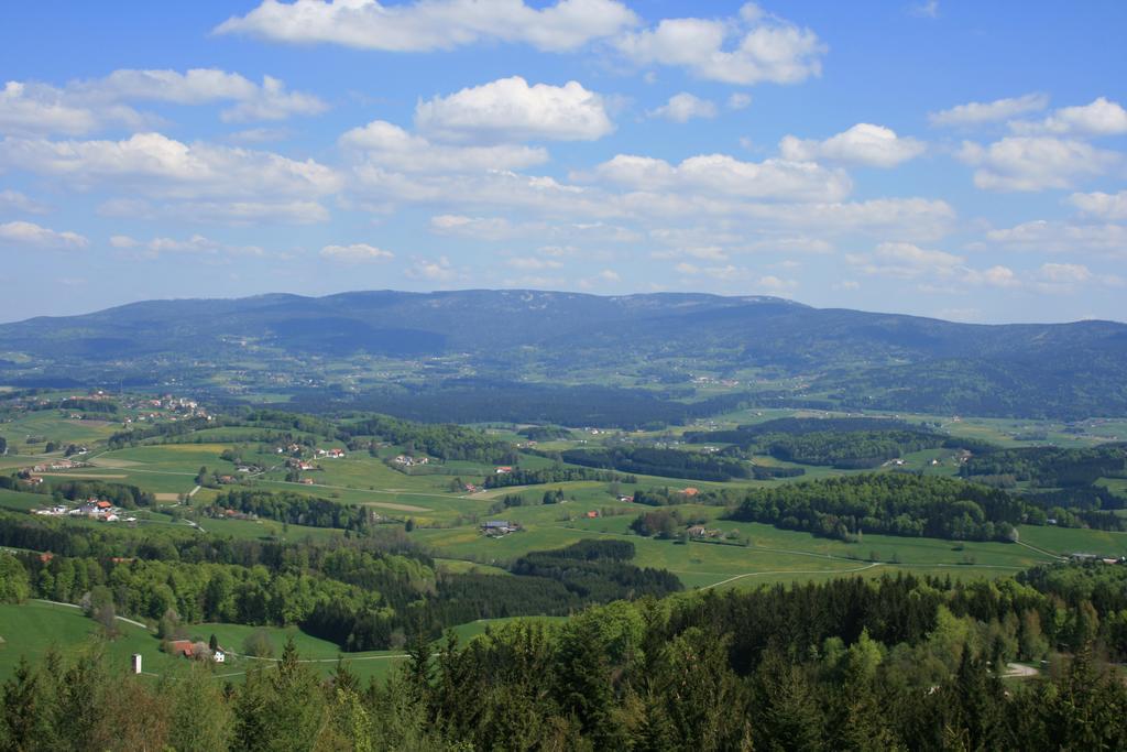 Ferienhaus Grobauer Schwarzenberg am Bohmerwald Exterior foto