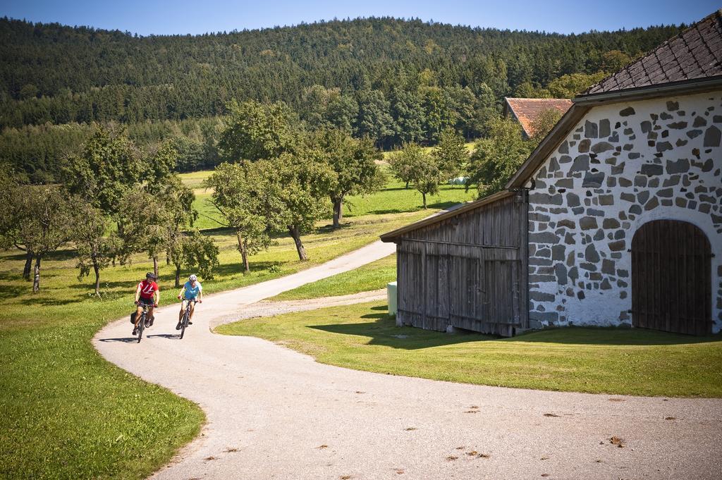Ferienhaus Grobauer Schwarzenberg am Bohmerwald Exterior foto