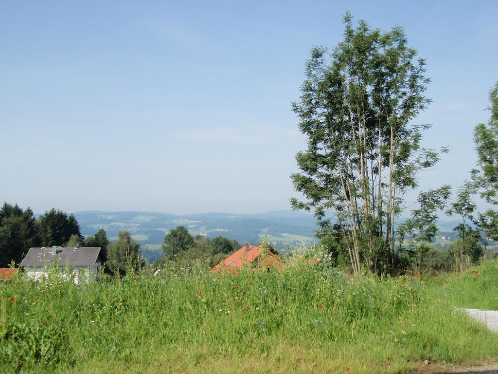 Ferienhaus Grobauer Schwarzenberg am Bohmerwald Exterior foto